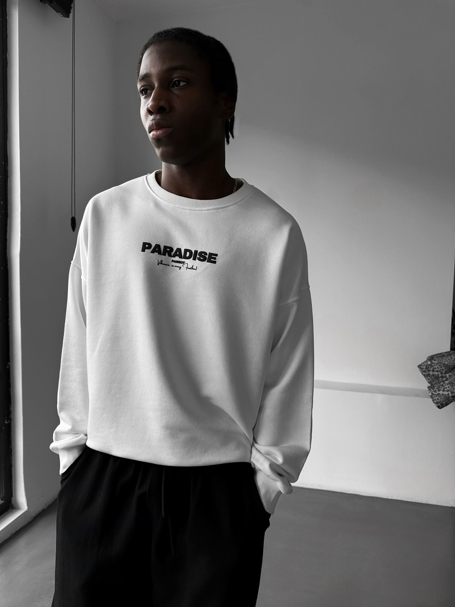 Men Paradise Graphic Sweatshirt Pack of 6 PCS