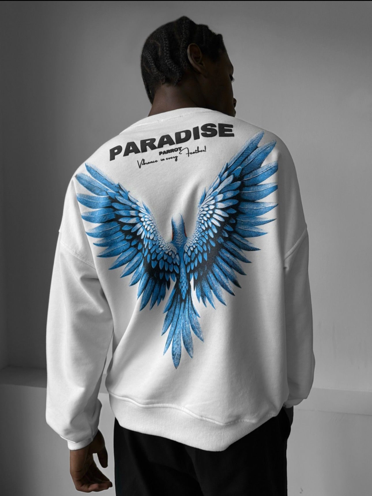 Men Paradise Graphic Sweatshirt Pack of 6 PCS